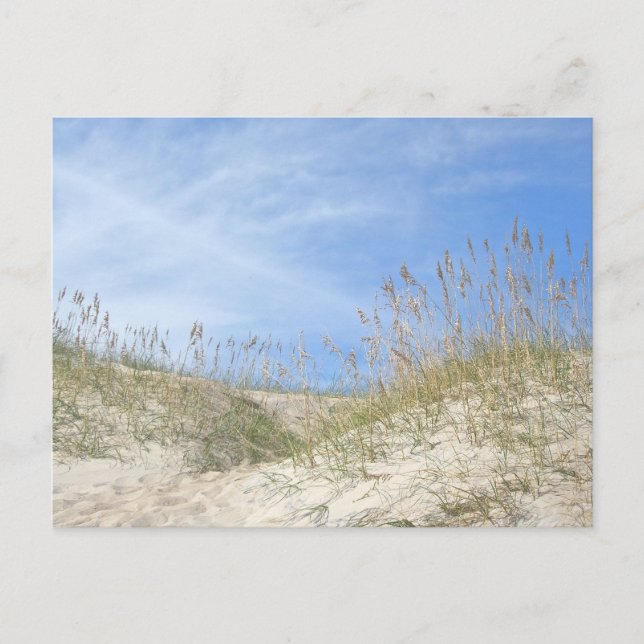 Postal Sea Oats Outer Banks NC Series (Anverso)