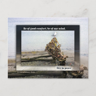 Postal Sea of One Mind Seagull