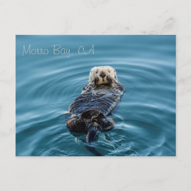 Postal Sea Otter - Morro Bay (Anverso)