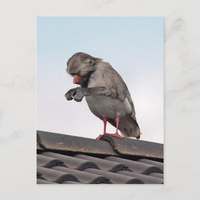 Postal Seaboon (Anverso)