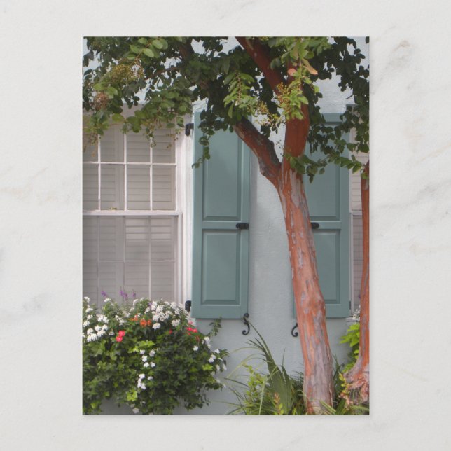 Postal Seagreen Shutters (Anverso)