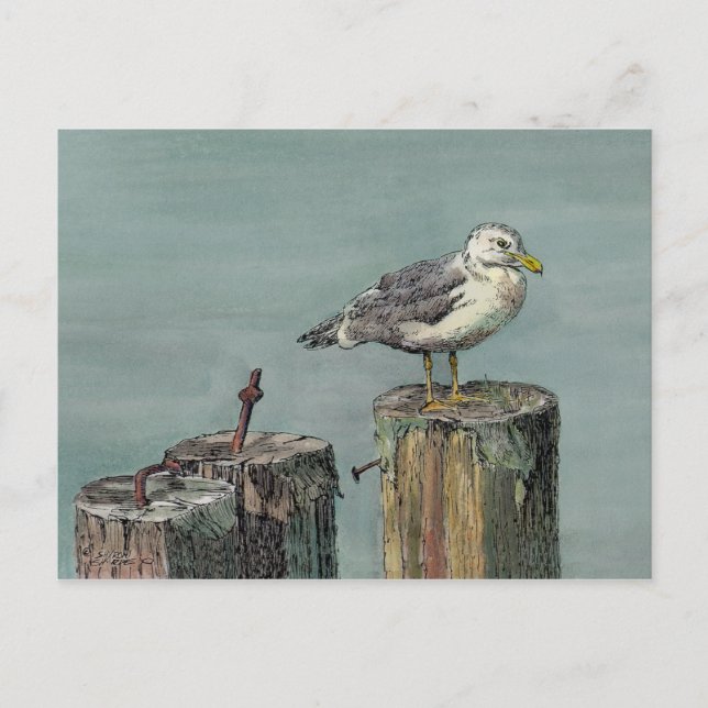 Postal SEAGULL sobre PILAR de SHARON SHARPE (Anverso)