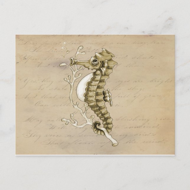 Postal Seahorse pasado de moda en fondo del papel del (Anverso)