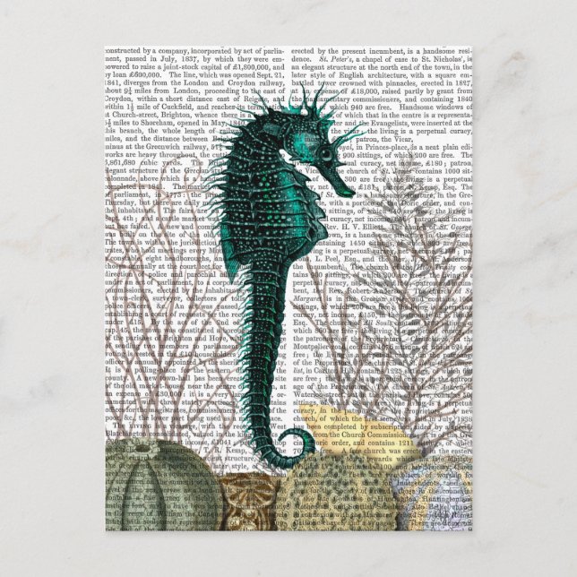 Postal SeaHorse y Sea Urchins 2 (Anverso)