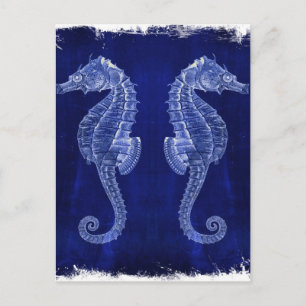 Postal seahorses costeros del azul de océano del amante