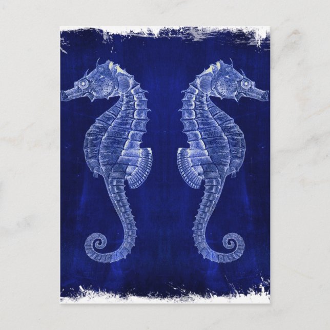Postal seahorses costeros del azul de océano del amante (Anverso)
