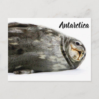 Postal 'Seal-ed with a Kiss'