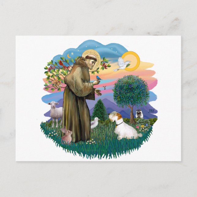 Postal Sealyham Terrier (Anverso)