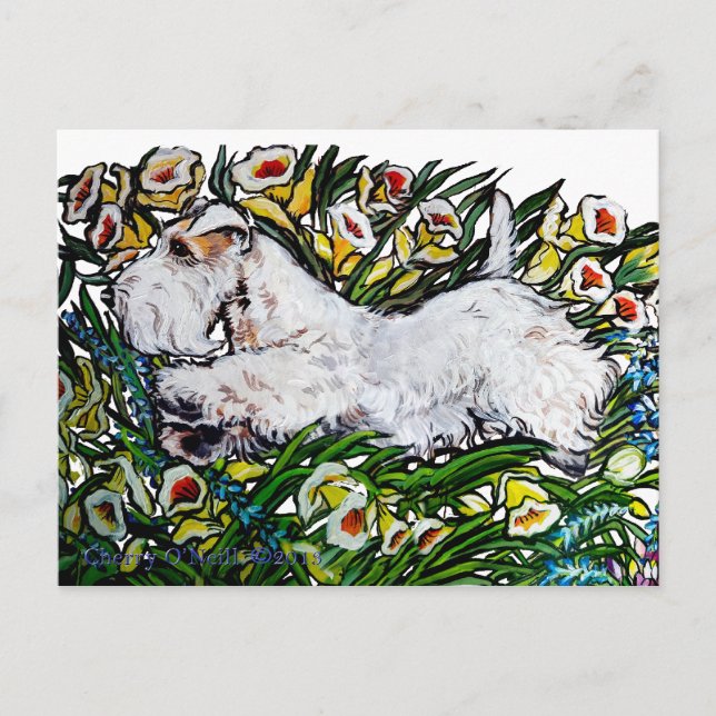 Postal Sealyham Terrier Daffodils (Anverso)