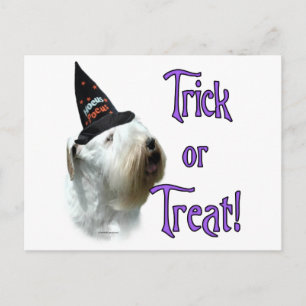 Postal Sealyham Terrier Trick