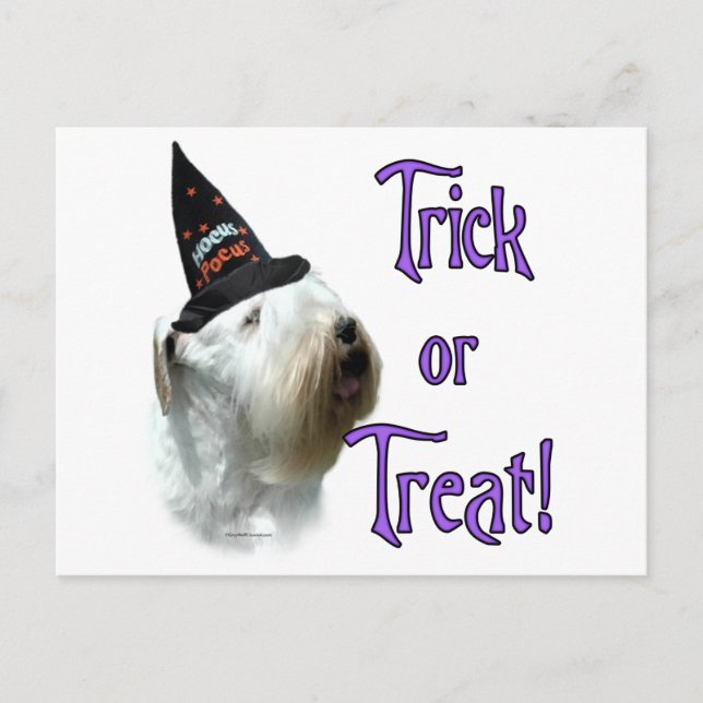 Postal Sealyham Terrier Trick (Anverso)