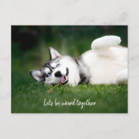 Seamos raros juntos / Foto Husky