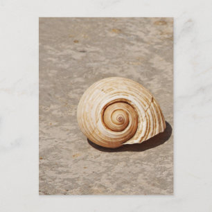 Postal SeaShell