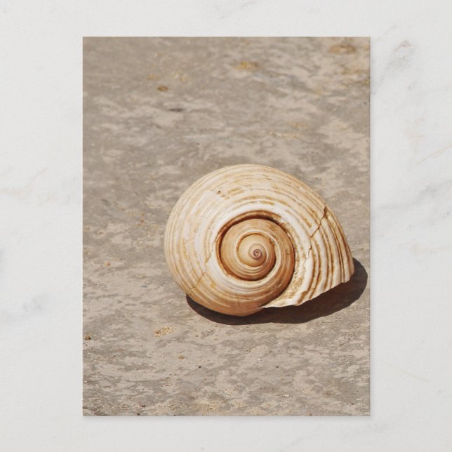 Postal SeaShell (Anverso)