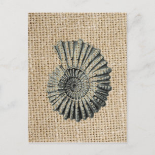 Postal seashell elegante costero del país de la playa