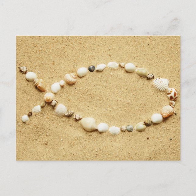 Postal Seashell Ichthys (Anverso)