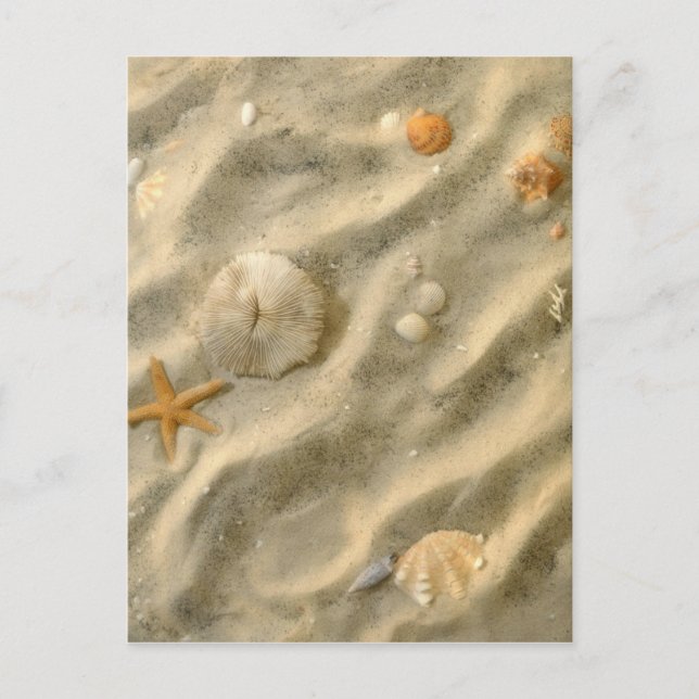 Postal Seashells en arena (Anverso)