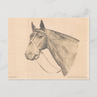 Postal Seattle Slew por Susan Pelisek Kolberg