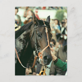 Postal Seattle Slew Thoroughbred 1978