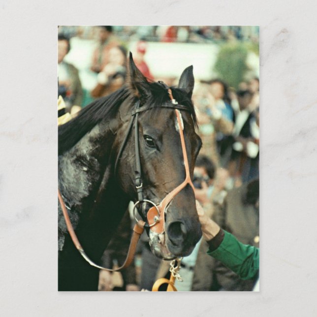 Postal Seattle Slew Thoroughbred 1978 (Anverso)