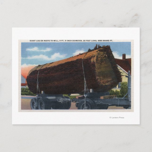 Postal Seattle, Washington Giant Log en ruta a Mill (Anverso)
