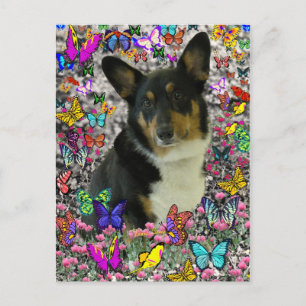 Postal Sebastian el Corgi galés en las mariposas