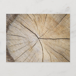 Postal Sección transversal del tronco del árbol