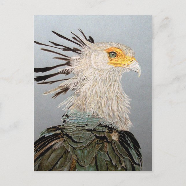 Postal Secretario Bird (Anverso)