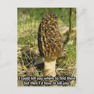 Postal Secreto de Morel Hunter