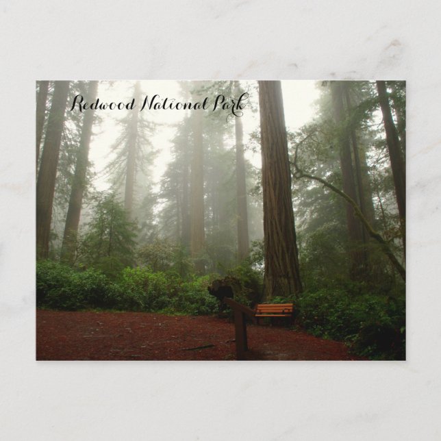 Postal secuoyas de California (Anverso)