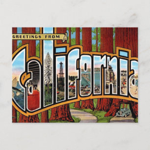 Postal Secuoyas rojas vintage de California