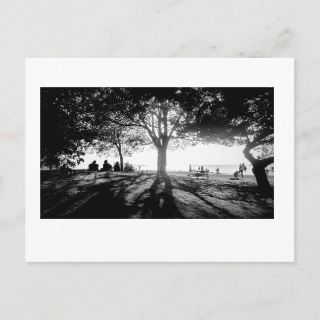 Postal Seguir la luz 1 (Anverso)