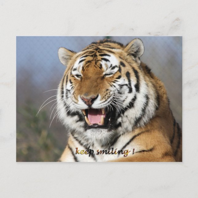 Postal seguir sonriendo (Anverso)