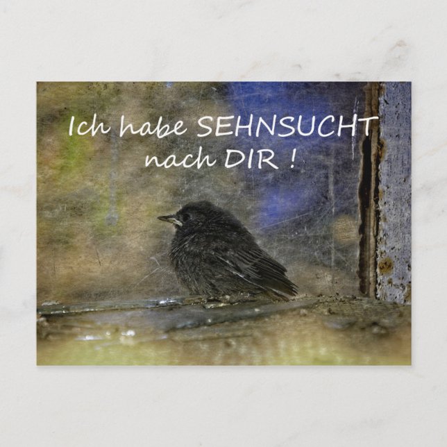 Postal Sehnsucht nach Dir - (Anverso)