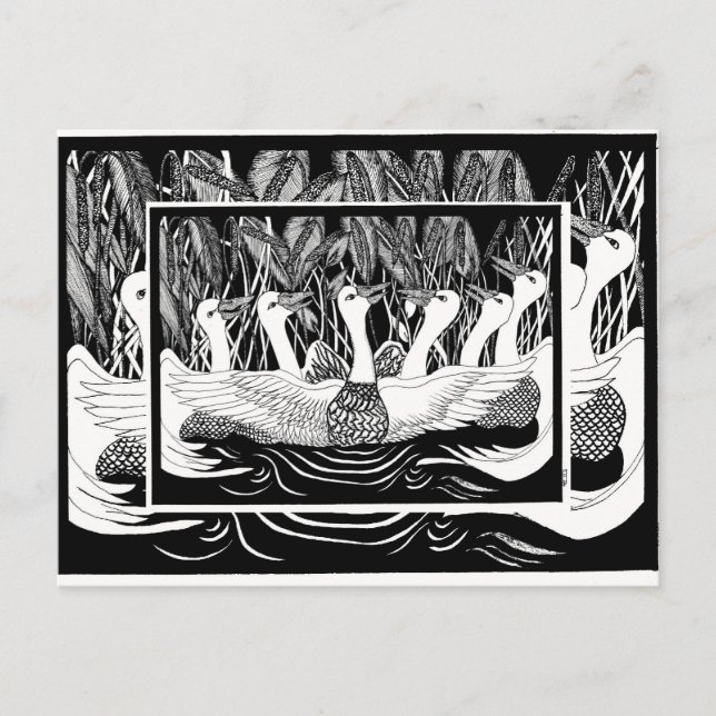 Postal Seis Geese, seis Geese (Anverso)