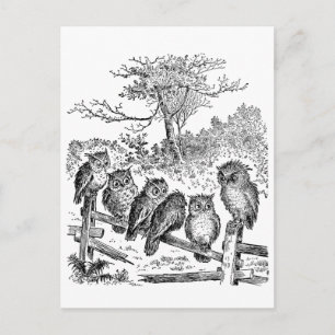 Postal Seis pequeñas lechuzas sentadas en una cerca rota