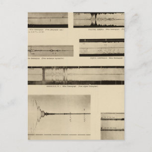 Postal Seismogramas de California 2