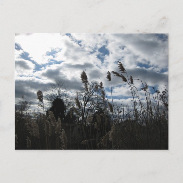Postal Selby-On-The-Bay (Anverso)