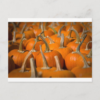 Postal Selección de calabaza