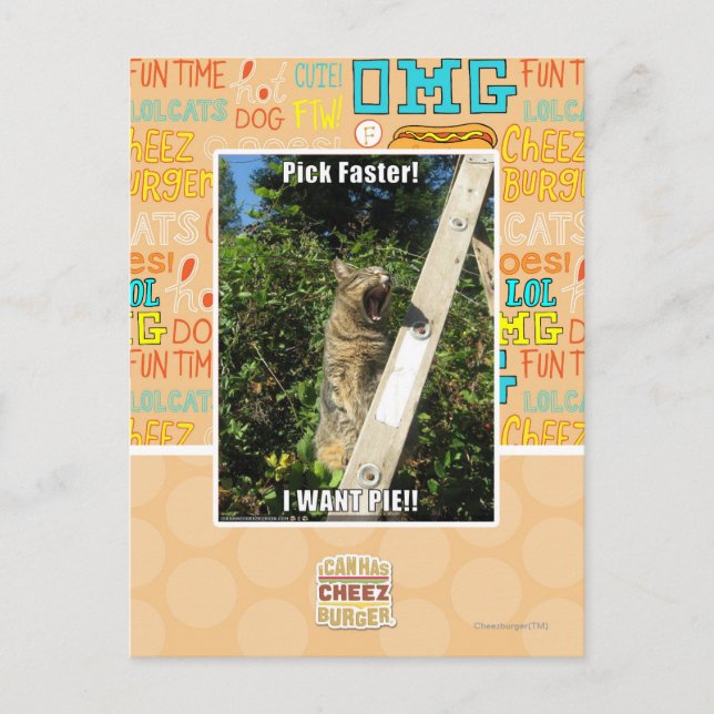 Postal ¡Selección más rápidamente! (Anverso)