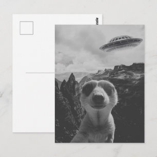 Postal Selfie de suricata en un paisaje montañoso surreal