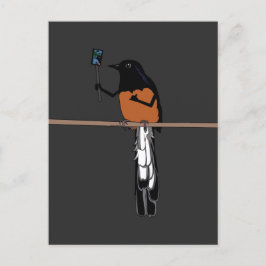 Postal Selfie hawaiano de aves shama