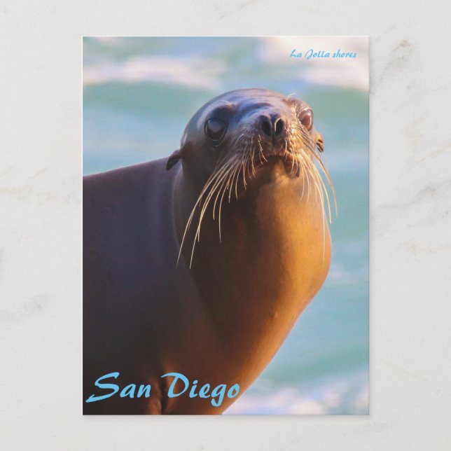 Postal Sello de aprobación (Anverso)