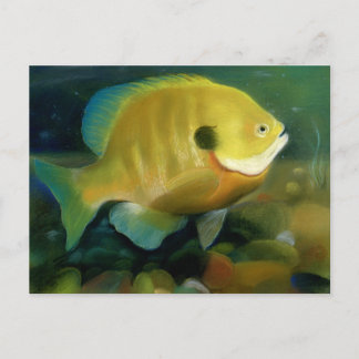Postal Sello de arte de conservación - 2011