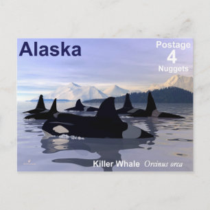 Postal Sello de ballenas asesinas de Alaska