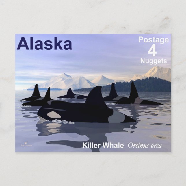 Postal Sello de ballenas asesinas de Alaska (Anverso)