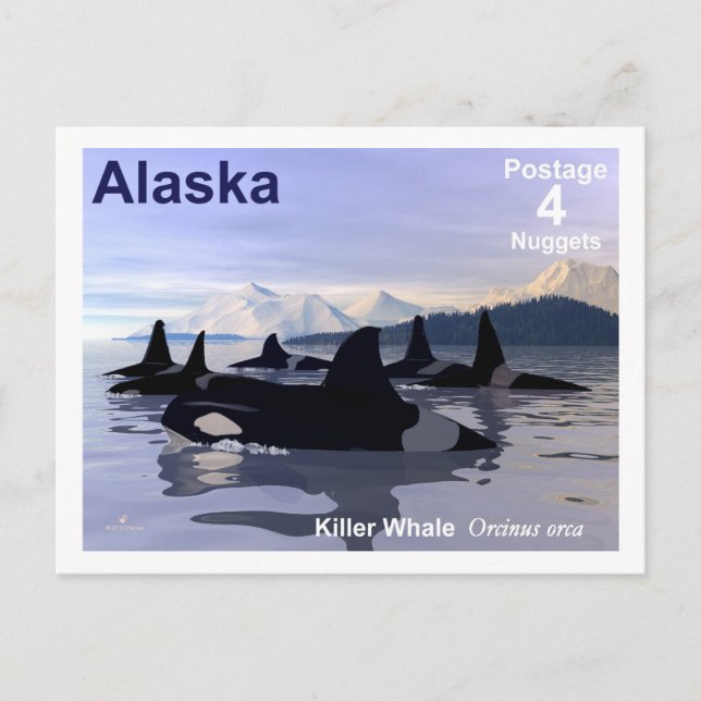 Postal Sello de ballenas asesinas de Alaska (Anverso)