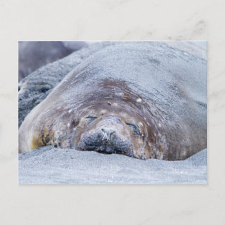 Postal Sello elefante