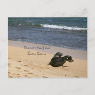 Postal Sello monje hawaiano en peligro de extinción Kauai