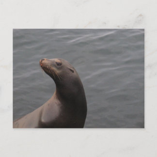 Postal Sello - Montery Bay CA